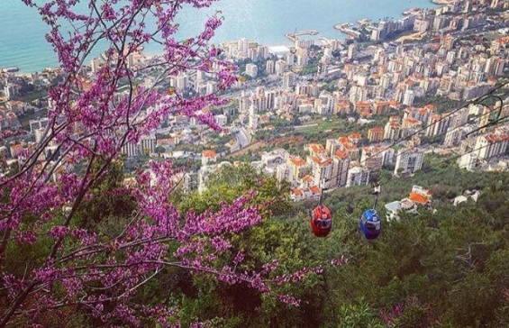 The Charming Lebanon